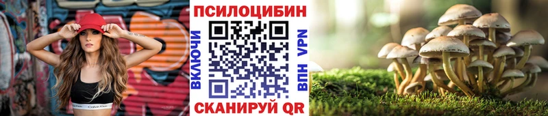 Галлюциногенные грибы Cubensis  цена   Вологда 