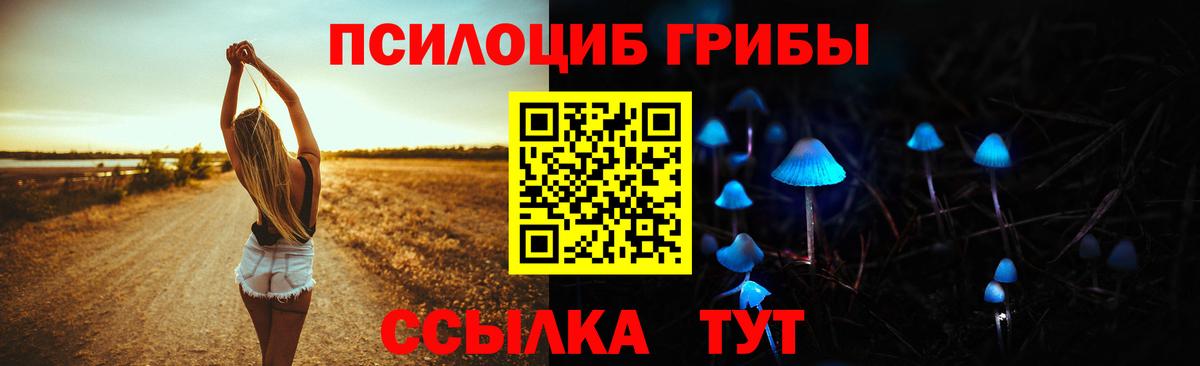 Галлюциногенные грибы Cubensis Вологда