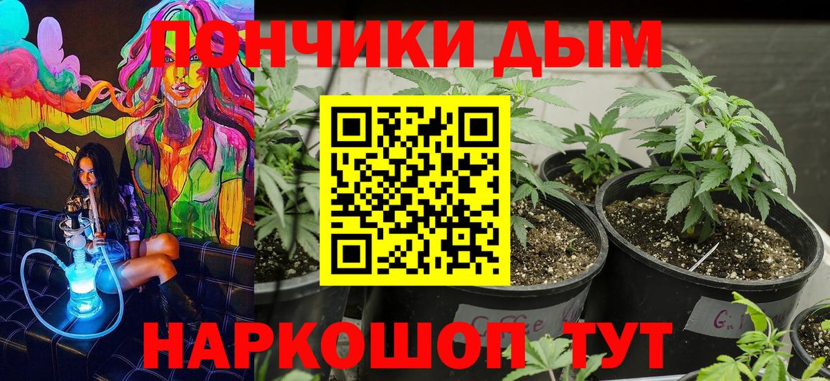 Каннабис VHQ Вологда