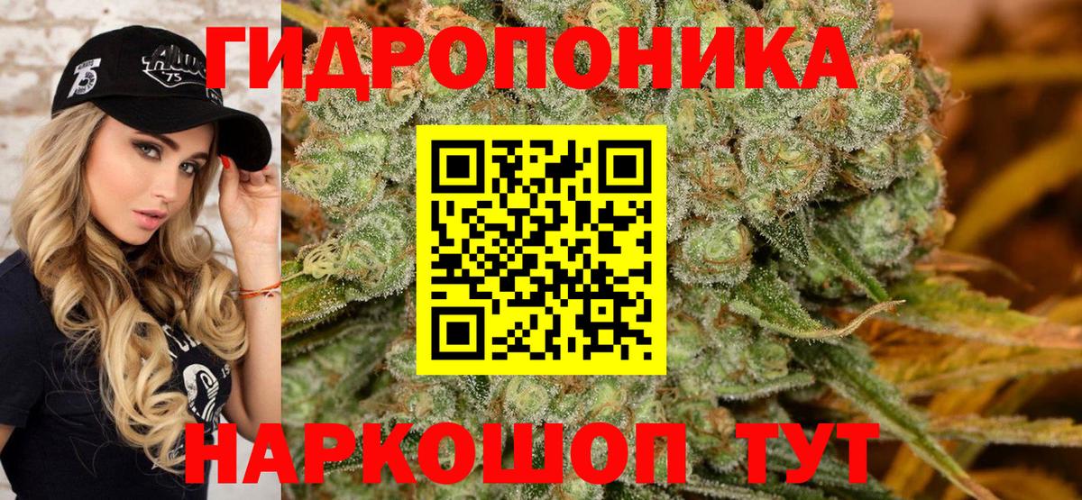 Вологда  Марихуана планчик  Бошки Шишки MAZAR  Вход с VPN  Шишки марихуана SATIVA & INDICA 